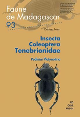 INSECTA COLEOPTERA CHIRONIDAE N  90