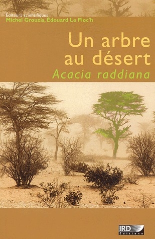 UN ARBRE AU DESERT - ACACIA RADDIANA