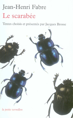 LE SCARABEE