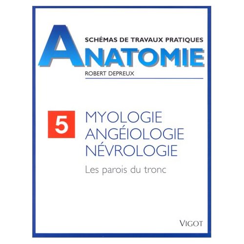 ANATOMIE MYOLOGIE N5