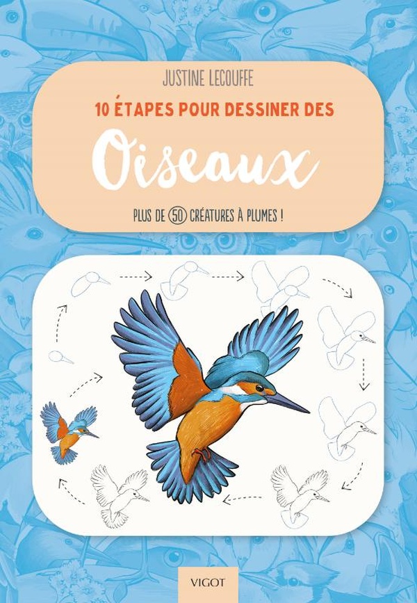 10 ETAPES POUR DESSINER DES OISEAUX - PLUS DE 50 CREATURES A PLUMES ! - ILLUSTRATIONS, COULEUR