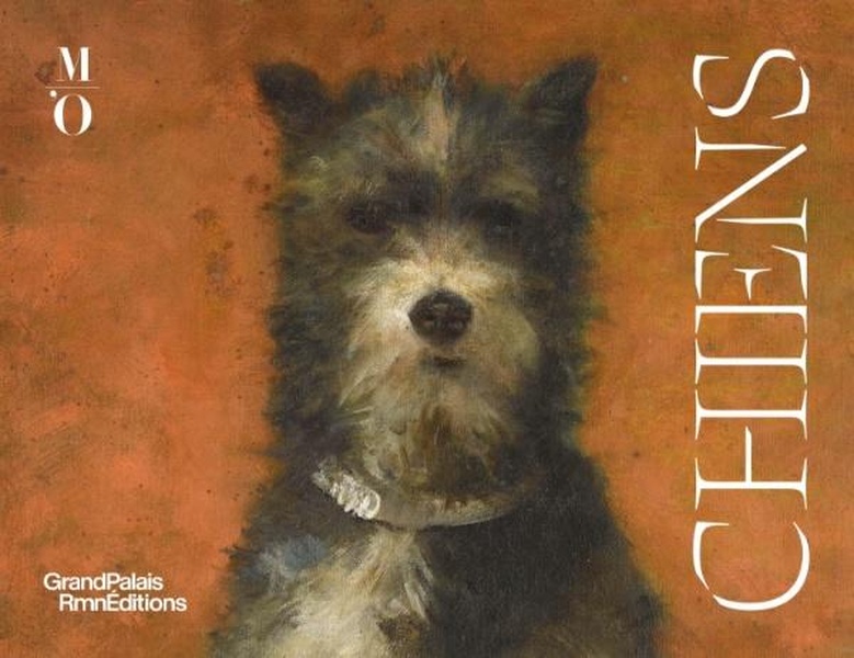 CHIENS - ILLUSTRATIONS, COULEUR