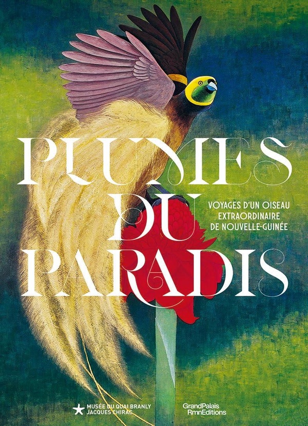 PLUMES DU PARADIS. VOYAGES D'UN OISEAU EXTRAORDINAIRE DE NOUVELLE-GUINEE - ILLUSTRATIONS, COULEUR