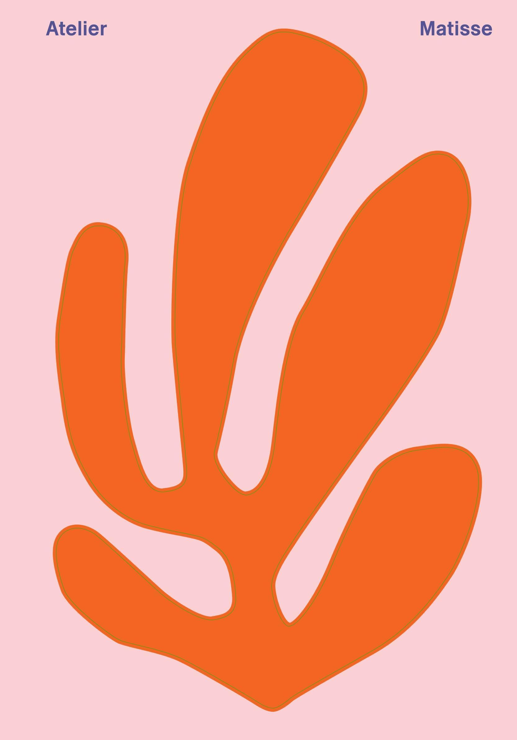 ATELIER MATISSE - ILLUSTRATIONS, COULEUR