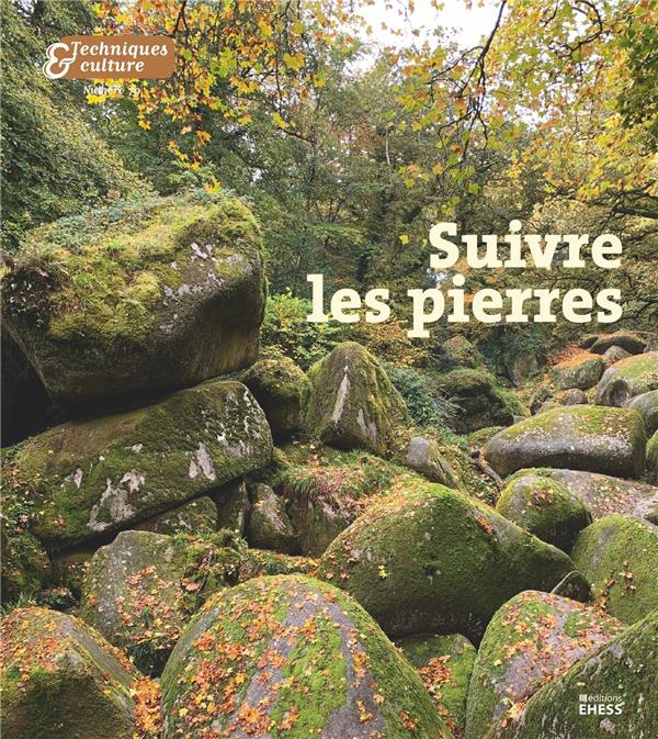 TECHNIQUES & CULTURE N 79 - SUIVRE LES PIERRES