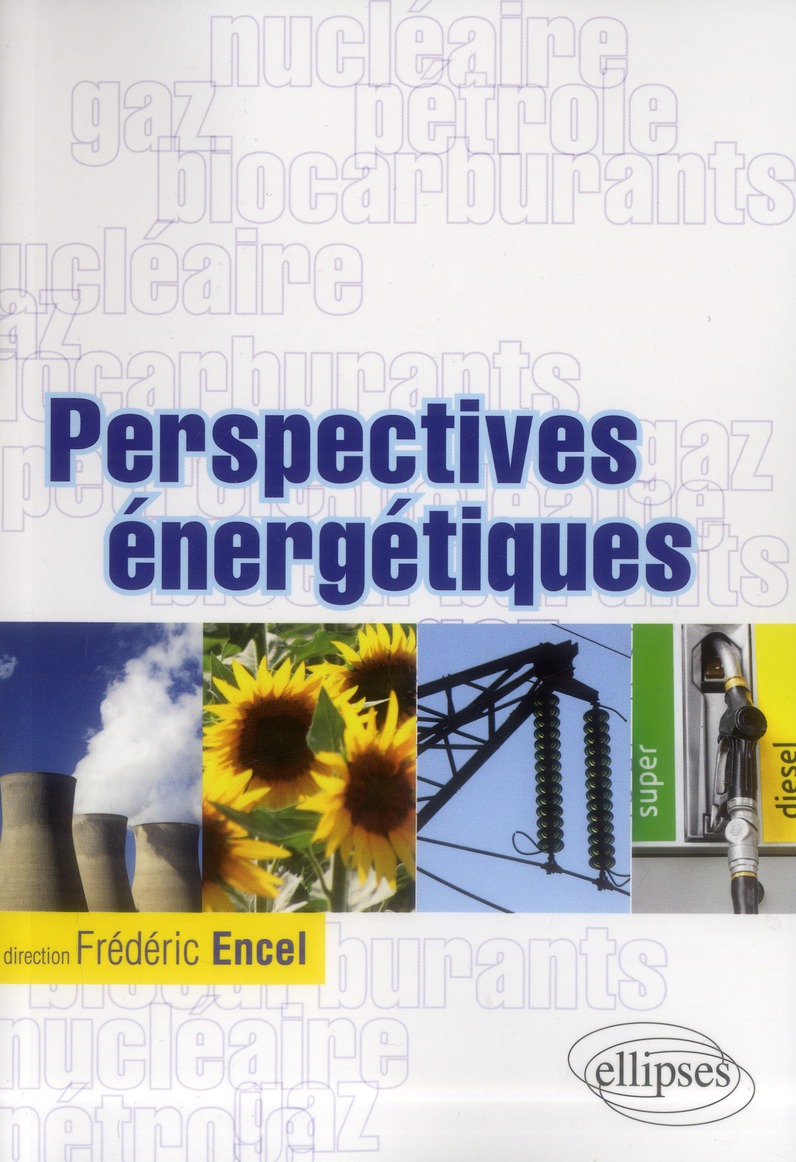 PERSPECTIVES ENERGETIQUES. GAZ, PETROLE, NUCLEAIRE, BIOCARBURANTS