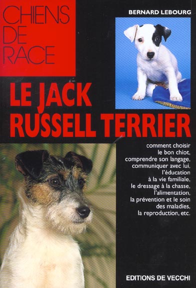 JACK RUSSEL TERRIER