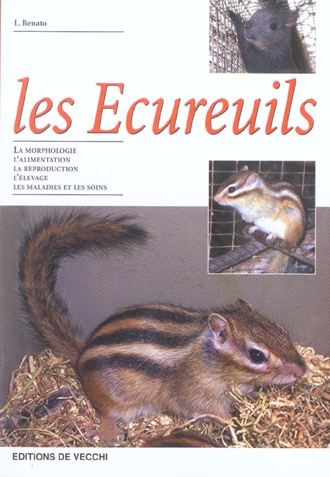 ECUREUILS
