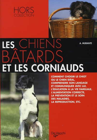CHIENS BATARDS ET CORNIAUDS