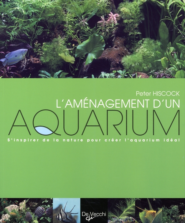 AMENAGEMENT D'UN AQUARIUM