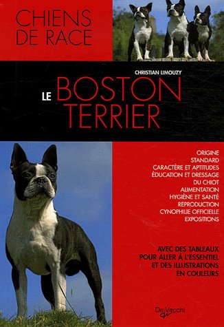 BOSTON TERRIER