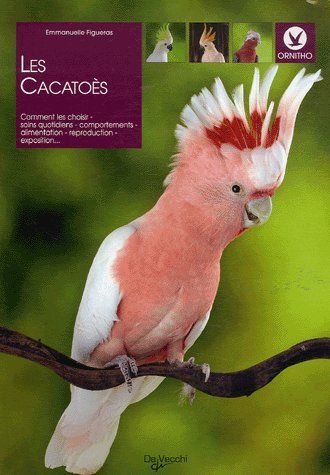 CACATOES