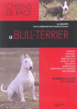 BULL TERRIER