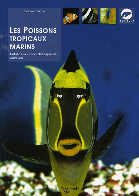POISSONS TROPICAUX