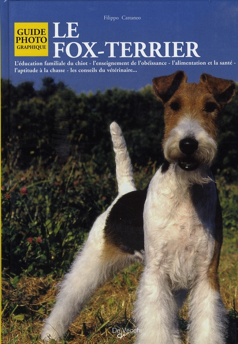 FOX TERRIER