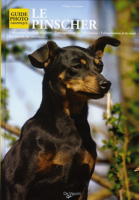 PINSCHER