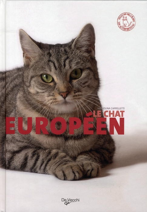 CHAT EUROPEEN