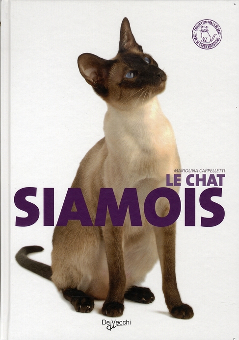 CHAT SIAMOIS