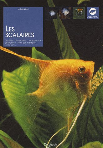 SCALAIRES