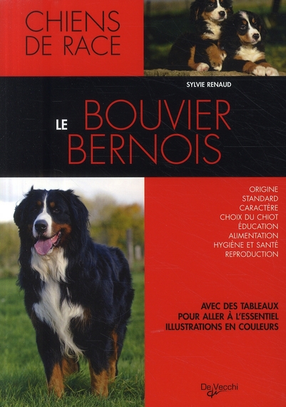 BOUVIER BERNOIS