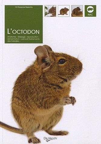 OCTODON