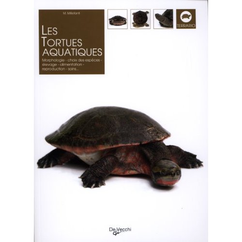 TORTUES AQUATIQUES