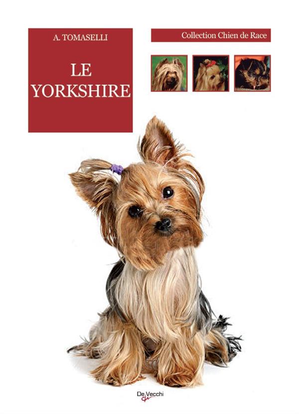 YORKSHIRE TERRIER
