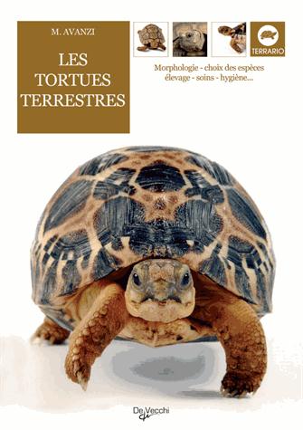 TORTUES TERRESTRES