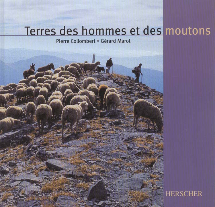 TERRES DES HOMMES ET DES MOUTONS