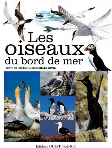 LES OISEAUX DU BORD DE MER