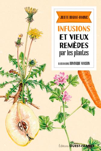INFUSIONS ET VIEUX REMEDES PAR LES PLANTES