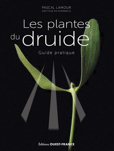LES PLANTES DU DRUIDE