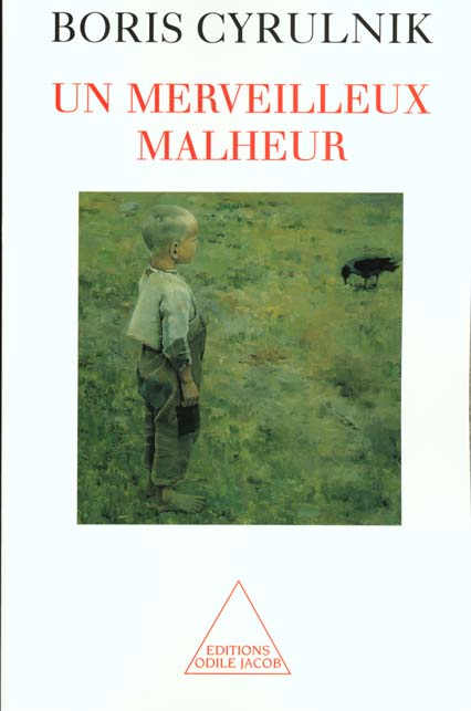 UN MERVEILLEUX MALHEUR