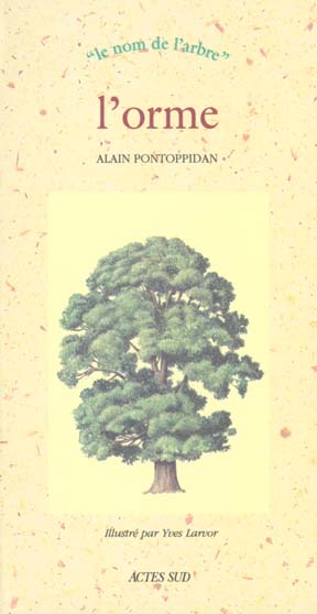 L'ORME - LE NOM DE L'ARBRE (NAISSANCE DU 12/24 JANVIER OU 15/25 JUILLET