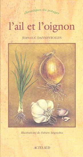 L'AIL ET L'OIGNON - CHRONIQUES DU POTAGER