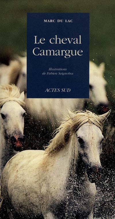 CHEVAL CAMARGUE