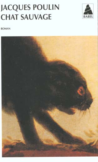 CHAT SAUVAGE BAB N 414
