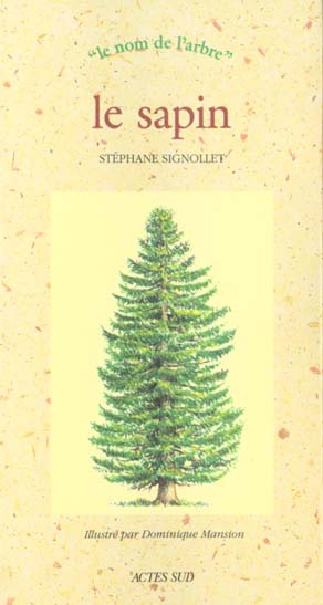 SAPIN (LE) - LE NOM DE L'ARBRE