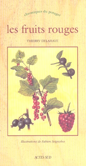 FRUITS ROUGES (LES) - CHRONIQUES DU POTAGER
