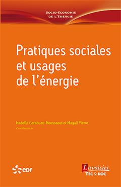 PRATIQUES SOCIALES ET USAGES DE L'ENERGIE