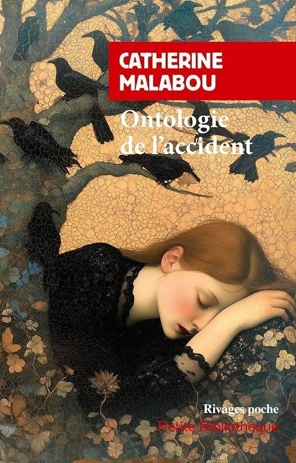 ONTOLOGIE DE L'ACCIDENT