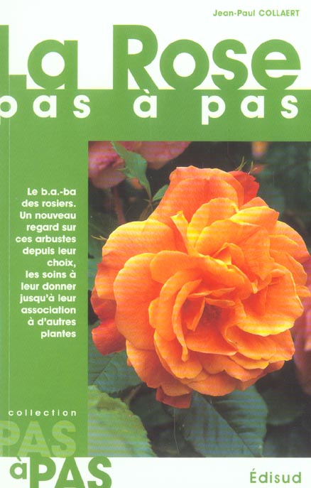 ROSE PAS A PAS LA