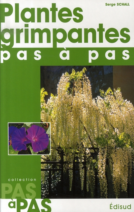 PLANTES GRIMPANTES PAS A PAS