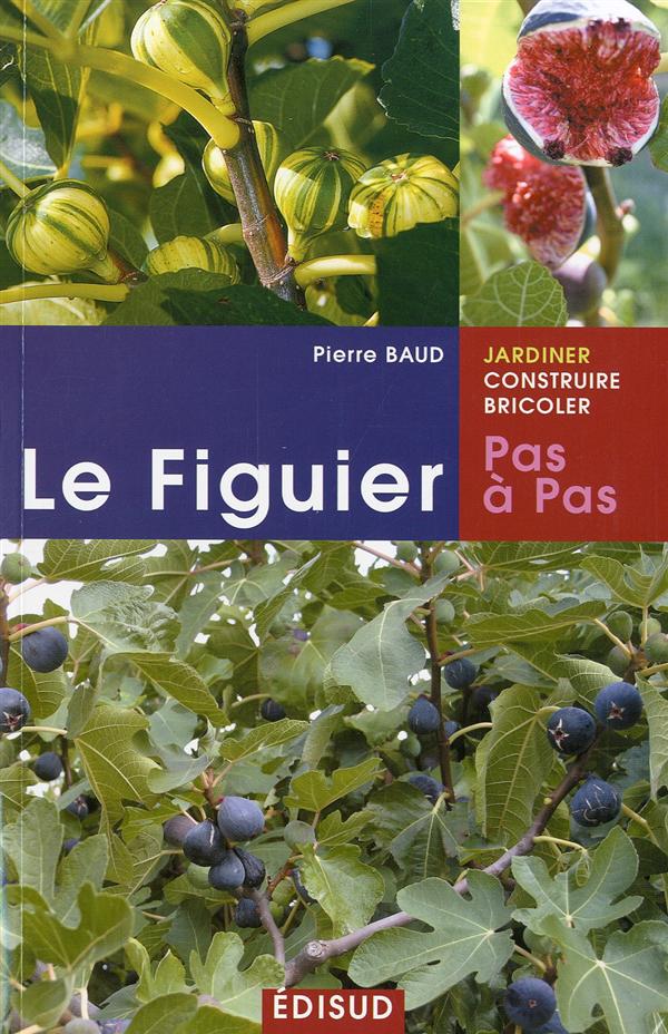 FIGUIER PAS A PAS LE