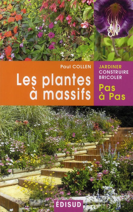 PLANTES A MASSIFS LES