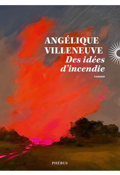 couverture du livre DES IDEES D'INCENDIE