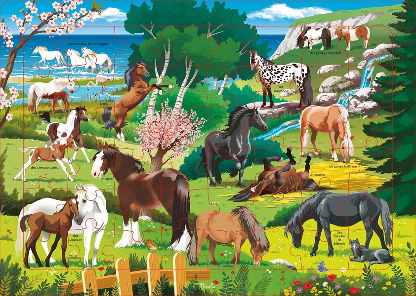 LES CHEVAUX - 48 PIECES - PUZZLE