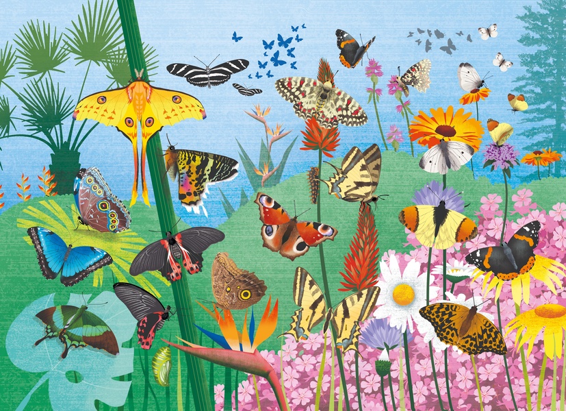 LES PAPILLONS - 48 PIECES - PUZZLE