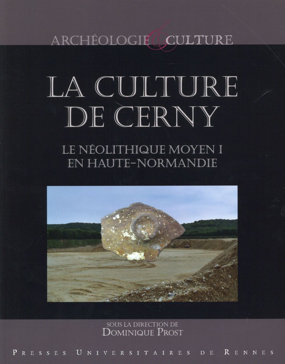 CULTURE DE CERNY