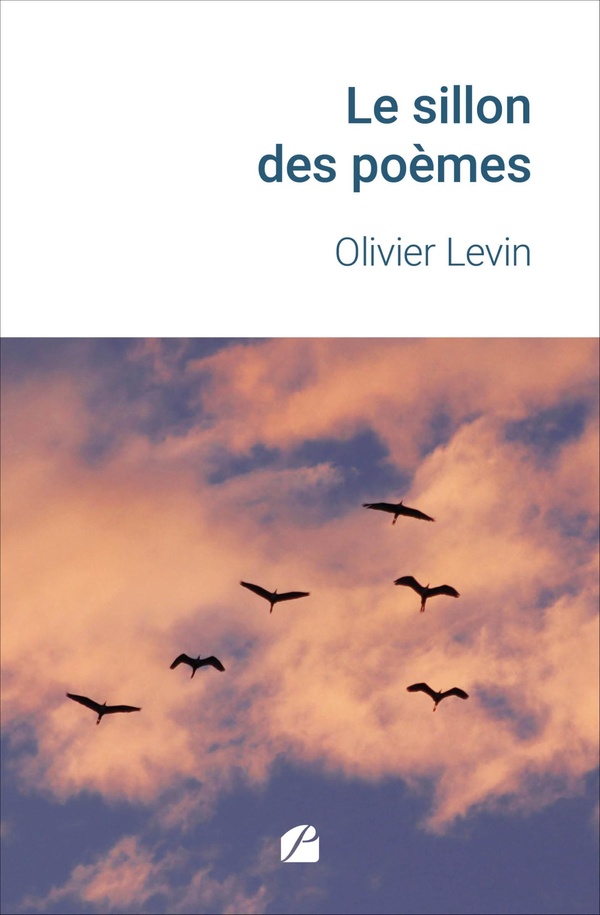 LE SILLON DES POEMES